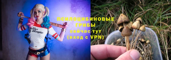 стафф Волосово