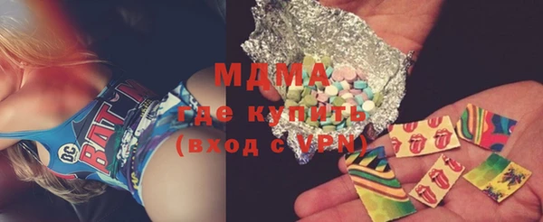 индика Вязьма