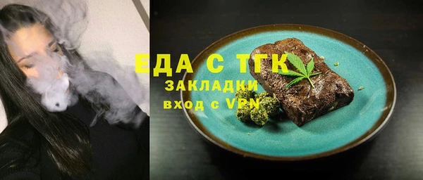 индика Вязьма