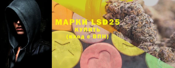 ECSTASY Вяземский