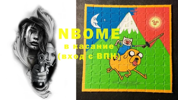 индика Вязьма
