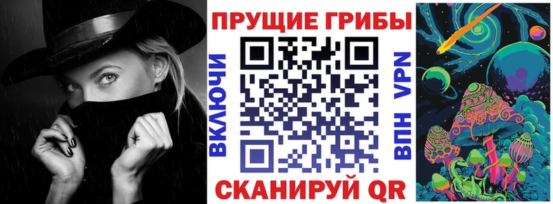 Псилоцибиновые грибы Psilocybine cubensis  Купить где  Горнозаводск 
